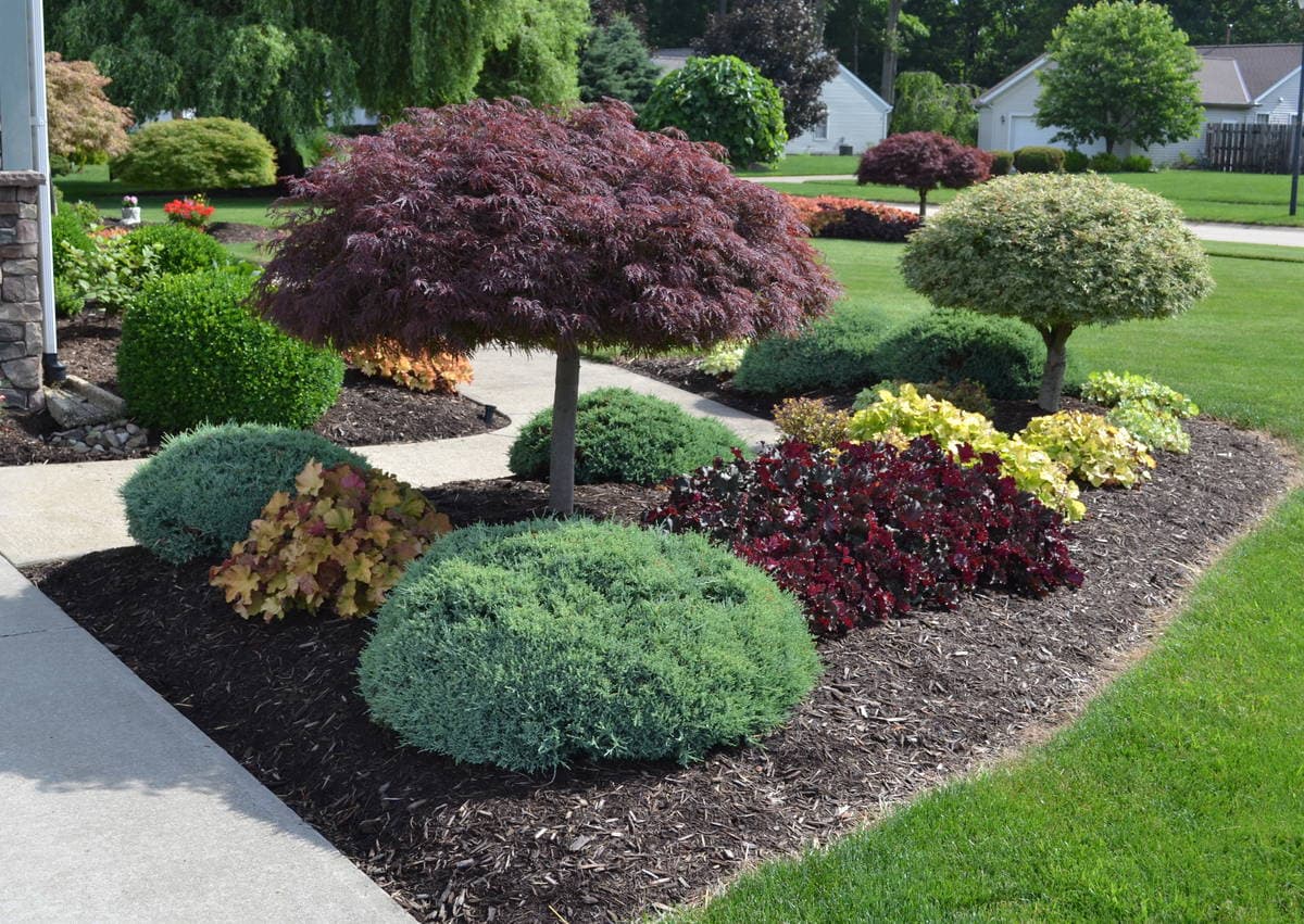 Yard · After Full Design