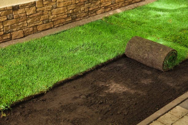 Sod · Provo · After