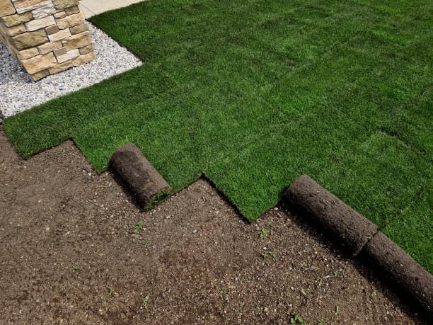 Sod · Provo · Before