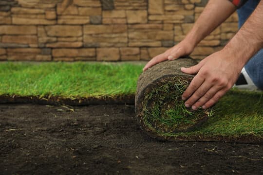 Fresh Sod Rolled In