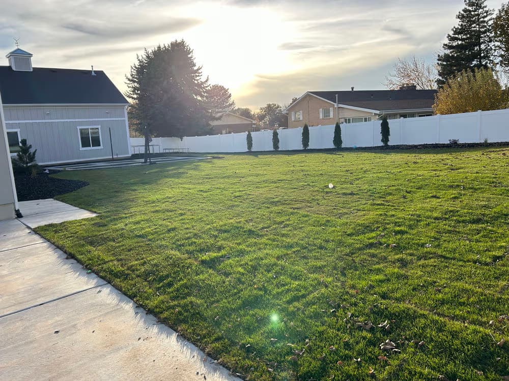 Sod & Lawn Install