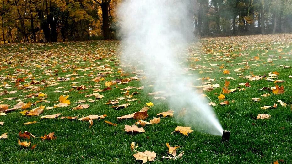 Fall Winterization
